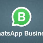 WhatsApp Business app interface showing business profile messages and product catalog on Android phone