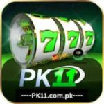 pk11 game