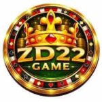 ZD22 Game