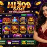 HI309 Game